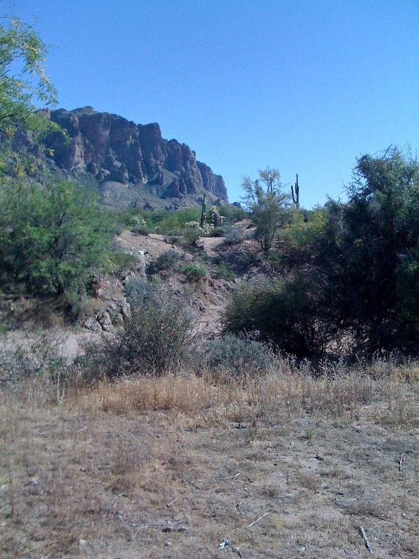 Pictures from iPhone 012.jpg